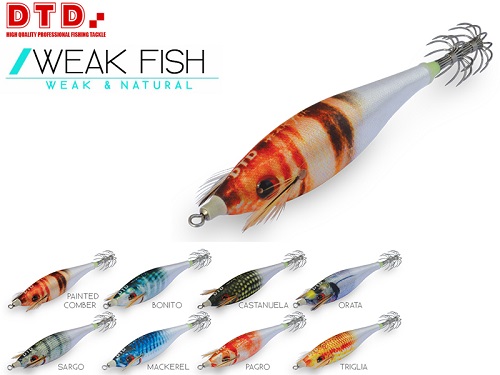 Weak Fish Bukva 2.5 Painted Comber